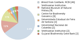 Image result for Zornia setosa