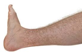 We did not find results for: 48 Man S Hairy Legs Stock Photos Free Royalty Free Man S Hairy Legs Images Depositphotos