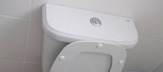 How to Fix a Toilet Flush Button in 10 Easy Steps | My Plumber