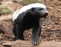 Karen and Brent Bertram