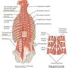 Maybe you would like to learn more about one of these? 3