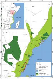 Image result for Chamaecrista zambesica