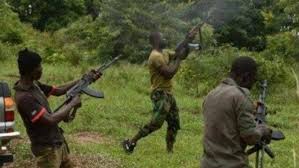 Find all national and international information about nigeria. Bandits Kill One Kidnap 10 In Niger Attack Nigeria News Today
