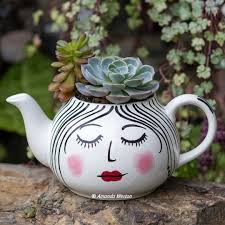 I repurposed this unused teapot and painted her face. Do you think the  succulents will be OK? I couldn't fit a pot inside, so I used larger stones  at the bottom, then