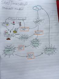 Stickstoffkreislauf Biologie Unterrichten Lernen Tipps Schule Biologie