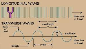 When the particles vibrate perpendicular to the direction of propagation of a wave, it is known as the transverse wave. Longitudinal Vs Transverse Waves Physics Experiments Life Hacks For School Gcse Science