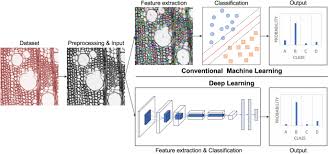 Wood identification how to identify lumber wood by wright 2. Computer Vision Based Wood Identification And Its Expansion And Contribution Potentials In Wood Science A Review Plant Methods Full Text