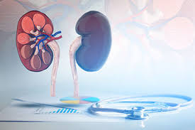 Nierenerkrankungen Ursachen Symptome Behandlung Medlexi De