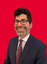 Bildergebnis für David Shapiro