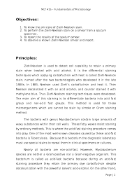 Pdf Mlt 415 Lab Report Ziehl Neelson Stain Muhamad Faizzudin Mohamad Zan Academia Edu