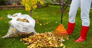 Yard Clean Up Green Bay Wi Chop Chop Landscaping Green Bay Wi