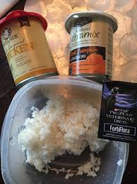 Shop top rated cat foods formulated for sensitive stomachs to help support digestion. Dog Bland Diet 1 C Cooked Rice 1 4 C Each Canned Pumpkin And Chicken Mix In Flora If Needed Good For Resolvin Bland Diet For Dogs Dog Food Recipes Pet Diet