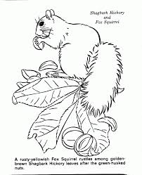 The original format for whitepages was a p. Category Coloring Pages Of Nature Scenes Page 0 Kids Coloring Coloring Library