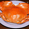 If you want to learn ketam in english, you will find the translation here, along with other translations from malay to english. Https Encrypted Tbn0 Gstatic Com Images Q Tbn And9gcsampbe2h12h3 J033tjcd Qgapeecsw Fqr6strww Usqp Cau
