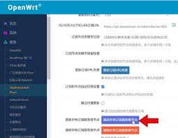 无限设备套餐更新订阅教程– 钻石加速器使用文档