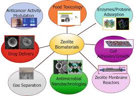 Emerging mexican mesothelioma epidemic due to fibrous zeolite exposure. Zeolites As Chameleon Biomaterials Adsorption Of Proteins Enzymes Foods Drugs Human Cells And Metals On Zeolite Membranes With Versatile Physics Chemical Properties Intechopen