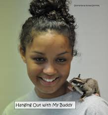 Spartanburg Animal Services