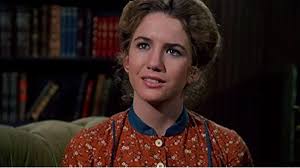 User-submitted review of "Little House