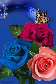 Pin By Tumazir On Flowers Flower Wallpaper Beautiful Flowers Wallpapers Flowers Gif