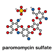 Image result for Paromomycin