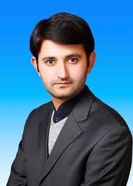 Syed Farzand Ali Shah Profile Freelancer Abbottabad