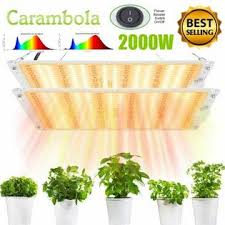 Yes, it comes with a discreet, safe, and soft cushioned packaging. Apelila Ykjfs021vf2ef 2000w 2pcs Led Grow Light Full Spectrum For Indoor Plants Veg Flower Hydroponic