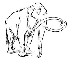 Ausmalbilder Ausmalbilder Mammut Zum Ausdrucken Kostenlos Fur Kinder Und Erwachsene