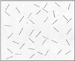 Worksheets are bisection method nonlinear equations, multiple choice test bisection method no. Albert S Cancellation Task 6 Download Scientific Diagram