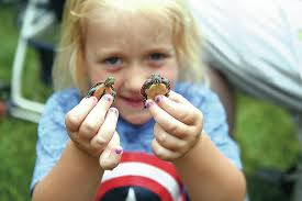 Turtle races a family tradition for many