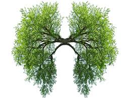 În primul rând, acest obicei afectează puternic plămânii, astfel că riscul de a face cancer pulmonar este foarte crescut. Ce Castigi Daca Te Lasi De Fumat Reginamaria Ro