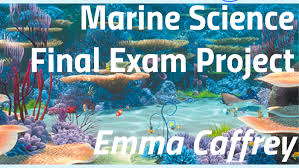 The movie takes place in and around the great barrier reef near australia, and centers on a neurotic clownfish named marlin (albert brooks). Marine Science By Emma Caffrey
