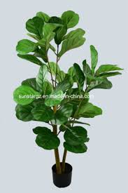 Hai sahabat ono karya kita kali ini membuat hiasan untuk 17 agustus yang cantik untuk hiasan kelas, rumah atau sekolah, yang menarik terbuat dari plastik. Tumbuhan Buatan Pokok Fiddle Tree Plastik Untuk Dekorasi 51163 Kraftangan Buatan Borong Di Topchinasupplier Com