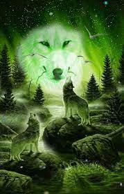 pin by mehmet demir on gokboru wolf spirit animal wolf spirit fantasy wolf