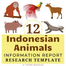 Find the list of top best pets and animals in indonesia on our business directory. Indonesian Animals Unit Research Templates 12 Animals Native To Indonesia