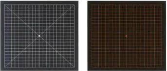 Macular degeneration test and visual acuity test online. Example Of Amsler Grid Chart Franklin 2003 Download Scientific Diagram