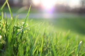 Check spelling or type a new query. How To Aerate A Lawn By Hand Lawn Care Blog Lawn Love