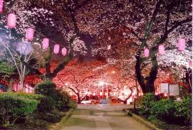 Bobo Cakes S Favorites Japan Tokyo Japan Places
