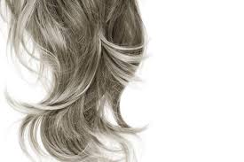 While purple shampoo is great to use once or twice a week to cut out warm, brassy tones, your daily shampoo should brighten your gray hair and prevent it from getting yellow. Best Shampoo For Gray Hair Revolution Gray