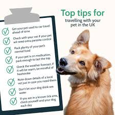 Tone Veterinary Centre