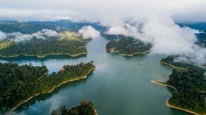 Kedudukan hutan ni bersempadan dengan thailand dan berada dalam jajahan negeri perak. Resort In Malaysia Perak Belum Rainforest Resort