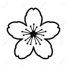 A one night only event! Cherry Blossom Flower Or Sakura Line Art Vector Icon For Apps Royalty Free Cliparts Vectors And Stock Illustration Image 121799829