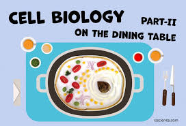 Check spelling or type a new query. Cell Biology On The Dining Table Animal Cell Model Part Ii Rs Science