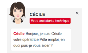 Pôle emploi agit au cœur d'un vaste écosystème que nous contribuons à fédérer autour d'un même mot d'ordre : Assistance Technique Pole Emploi