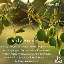But As For Me I Am Like A Green Olive Tree In The House Of God I Trust In The Lovingkindness Of God Forever And Ever Psalms 52 Daily Prayer Psalms Olive