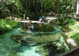 The waterfront closes one hour prior to the park closing. Kelly Park Rock Springs Run Apopka Fun 4 Clay Kids