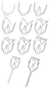 Anleitung Rose Zeichnen Roses Drawing Drawings Rose Drawing Simple