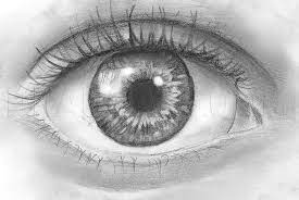 Then, draw some radial lines from the pupil towards the outer boundary of the iris. How To Draw An Eye In Pencil Step By Step Drawing Guide By Artistperson95 Dragoart Com