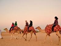 Camel ride getting popular in dubai. Dubai Evening Camel Desert Safari Adventure And Desert Camp Bbq Dinner