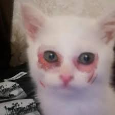 Listen to 4U [edit w/ chief street] by Boombox Cartel in Hype Electronic  playlist online for free