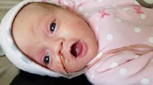 Fundraiser for Kaitlyn Anatriello by Mary Wickware Camley : Fundraiser for  Arya & Her Parents